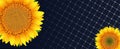 Solar panel and sunflower background Royalty Free Stock Photo