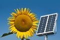 Solar panel and sunflower, the future energy Royalty Free Stock Photo