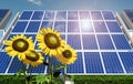 Solar panel and sunflowers Royalty Free Stock Photo