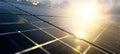 The solar panels absorbing sunlight in a modern renewable energy installation. AI generated image Royalty Free Stock Photo