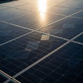Solar panels arranged in a grid pattern reflect sunlight on their smooth, dark-blue Royalty Free Stock Photo