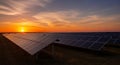 Solar Panels Array at Sunset in Open Field Royalty Free Stock Photo