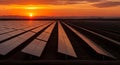 Solar Panels Array at Sunset in Open Field Royalty Free Stock Photo
