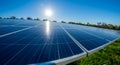 Solar Panels Array Under Bright Sunlight in Green Field Royalty Free Stock Photo