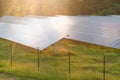 Solar panels at farm gathering electricity from the sun