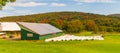 Solar panels on farm roof to power farm buildings Royalty Free Stock Photo