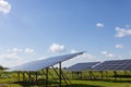 Solar panels in a field against a cloudy blue sky on a sunny day. Royalty Free Stock Photo