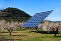 Solar panels in the field of almond trees in blossom Royalty Free Stock Photo