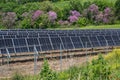 Solar panels on a field in front of a mixed hedge with flowering bushes, environmentally friendly renewable energy against global Royalty Free Stock Photo