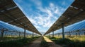 solar panels field pathway sun Royalty Free Stock Photo