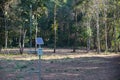 Solar panels in the forest for generating electricity for the safety of wildlife