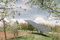 Solar panels are in the garden near the summer house. Extraction of solar energy for the home in the garden. Trees bloom on the