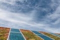 Solar panels on a roof covered with sedum