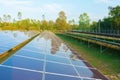 Solar panels or solar cells on the roof in farm. Power plant with green field, renewable energy source in Thailand. Eco technology Royalty Free Stock Photo