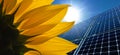 Solar panels and Sunflower against a sunny sky Royalty Free Stock Photo