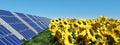Solar panels and sunflowers Royalty Free Stock Photo