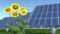 Solar panels and sunflowers Royalty Free Stock Photo