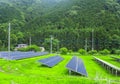 Solar pannel near of rice fields in Japan Royalty Free Stock Photo