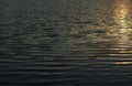 Solar path on the water, ripples on the water surface, light waves Royalty Free Stock Photo