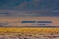 Solar plant in Kosh-Agach Royalty Free Stock Photo