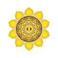 The Solar Plexus Chakra Mandala