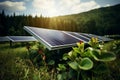 Solar power innovation photovoltaic panel in a verdant, eco friendly setting