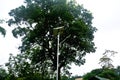 Solar powered street lamp with panel and trees in the background in close up Royalty Free Stock Photo