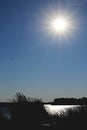 Solar reflection from the pond and reed silhouettes Royalty Free Stock Photo