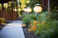 solarpowered garden lights along a pathway