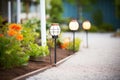 solarpowered garden lights along a pathway