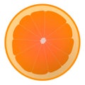 Solated orange with noises Royalty Free Stock Photo