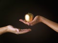 Sold his soul for gold. Cropped studio shot of a woman offering a man a golden apple against a dark background.