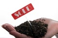 Sold soil in hand Royalty Free Stock Photo