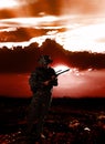 Soldier Royalty Free Stock Photo