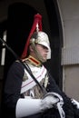 Soldier from Blues and Royals Cavalry Regiment.