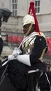 Soldier from Blues and Royals Cavalry Regiment.