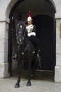 Soldier from Blues and Royals Cavalry Regiment.