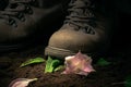 soldier boot prints on the ground and broken green plant sprout, military conflict and war concept, earth day background