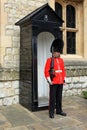 Soldier of English Guard patrols inside Tower of London in the service of the Queen of England Royalty Free Stock Photo