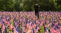 Soldier in Field of Flags on Memorial Day Royalty Free Stock Photo