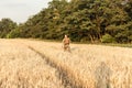 Soldier man standing against a field