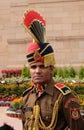 Soldier in parade uniform at The India Gate, Delhi Royalty Free Stock Photo