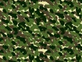 Soldier pattern Fur texture, carpet skin background, Dark green and light green theme color, fashion clothes. Royalty Free Stock Photo