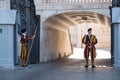 Soldier of the Pontifical Swiss Guard at the Vatican City