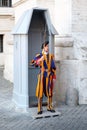 Soldier of the Pontifical Swiss Guard at the Vatican City