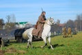 A soldier-reenactor rides a white horse