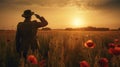 Soldier salutes standing in poppy field during sunset. Remembrance Day created with generative AI technology Royalty Free Stock Photo