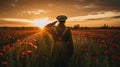 Soldier salutes standing in poppy field during sunset. Remembrance Day created with generative AI technology Royalty Free Stock Photo