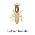 Soldier termite vector icon.Cartoon vector icon isolated on white background soldier termite. Royalty Free Stock Photo