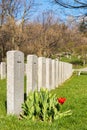 Soldier Tombs in Montreal Cemetery Royalty Free Stock Photo